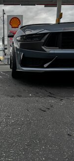 IMG_3650.jpeg