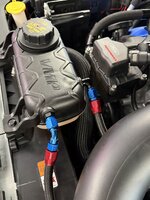 IMG_5012.jpeg