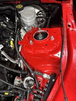 IMG_0269.jpeg