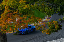 IMG_1489.jpeg