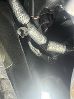IMG_3952.jpeg IMG_3952.jpeg
