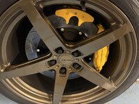 IMG_1185.jpeg IMG_1185.jpeg