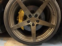 IMG_1179.jpeg IMG_1179.jpeg