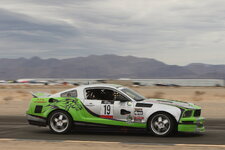 IMG_9781.jpeg