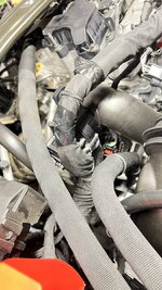 IMG_3765.jpeg IMG_3765.jpeg