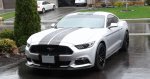 Stang new wheels.jpg