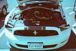 9820620104_b5f0a4d20d_c.jpg