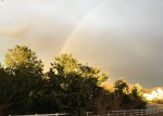 IMG_0793.JPG