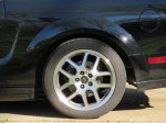 On BMR GT500 handling springs (rear as shimmed, web).jpg