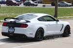 2016-ford-shelby-gt350r-oxford-white-11.jpg