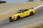 16-ford-mustang-shelby-gt350-first-drive-45-yellow.jpg