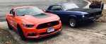 Mustang Pair.jpg