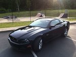 Mustang013-XL.jpg