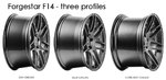 F14-profiles-L.jpg