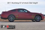 trackmustangsonline.com