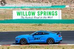 SV901-Mark-Willow-Springs-by-Rob-Gluckman-3-of-9.jpg