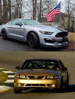 Mustangs.jpg
