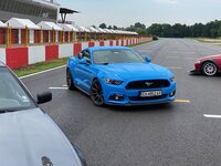 2017 Grabber Blue Mustang GT