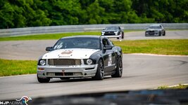 Mustangrace.jpg