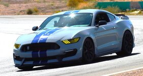 GT350  “the Grey Goose”