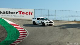 IMG_1113.jpeg