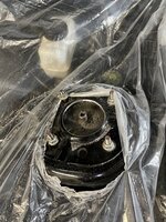 IMG_2815.jpeg