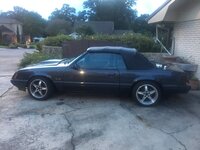 Periodoc’s 86 Stang