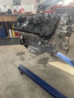 IMG_1118.jpeg IMG_1118.jpeg