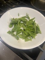IMG_7552.jpeg