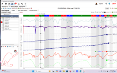 Screenshot 2024-08-20 101532.png