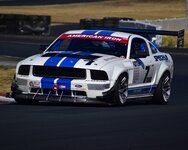 DSC_0221-001 (Large).JPG