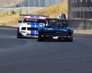 DSC_0265-001 (Large).JPG