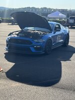 IMG_4066.jpeg IMG_4066.jpeg