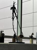 IMG_4206.jpeg