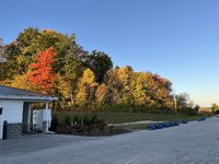 IMG_4383.jpeg