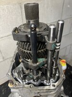 IMG_3187.jpeg