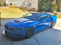 IMG_6916.jpeg IMG_6916.jpeg