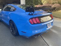 IMG_6918.jpeg IMG_6918.jpeg