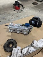 IMG_7038.jpeg