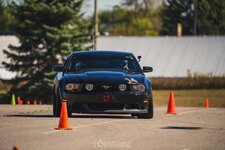 IMG_6424.jpeg