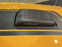 IMG_4419.jpeg