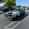 GTLizard