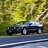 Goose_925