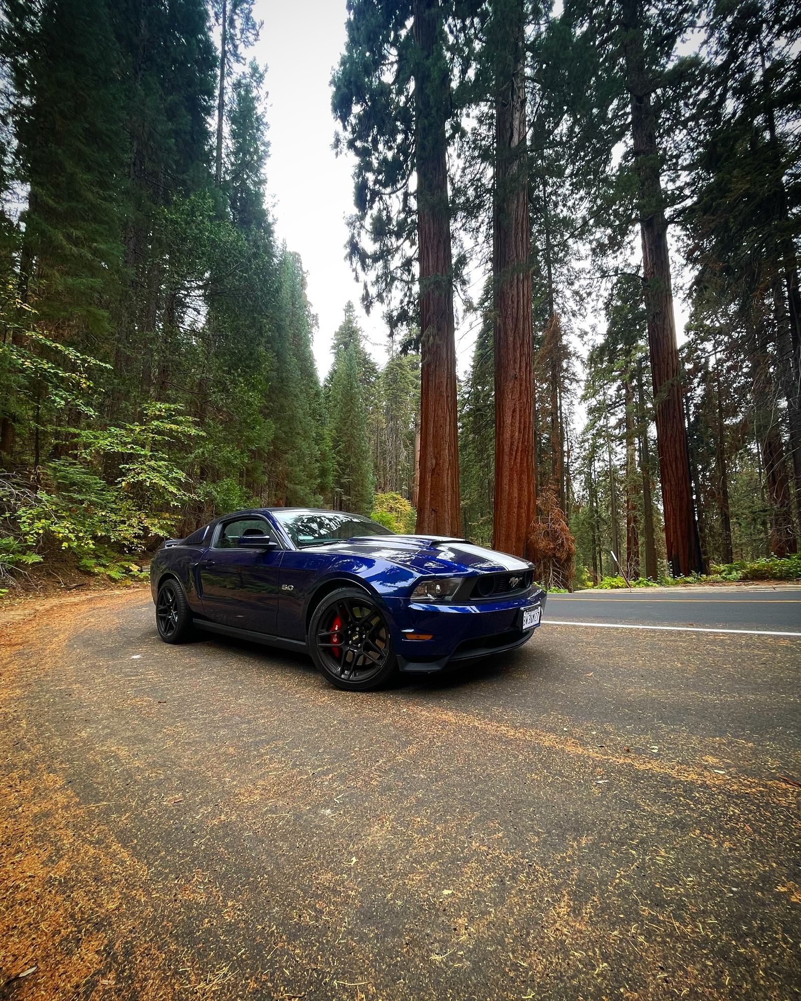 2012 Mustang
GT_50L  (10 second canyon carver)