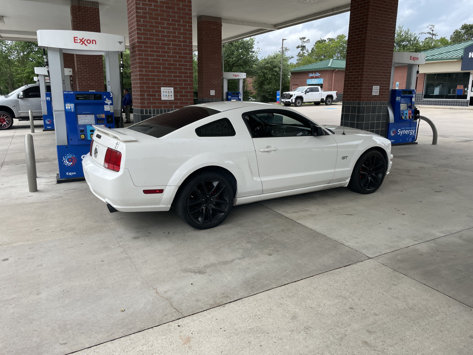 05 Mustang.jpg