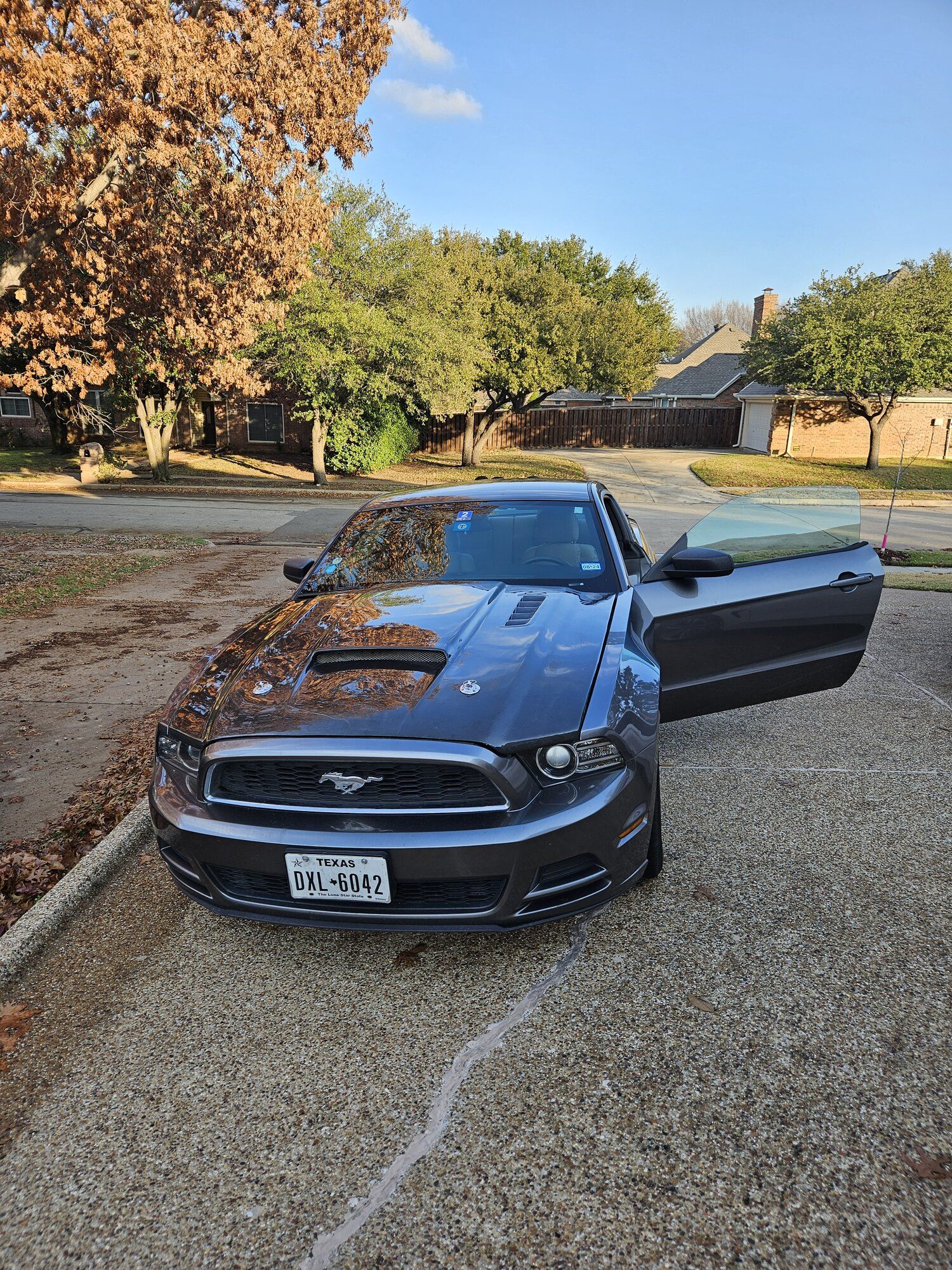 2014 Mustang
V6 AutoX -  (2014 Mustang V6)
