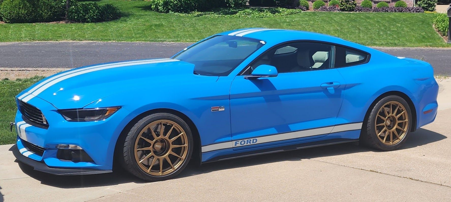2017 Mustang
GT HPDE/Track -  (2017 PP1 Grabber Blue)