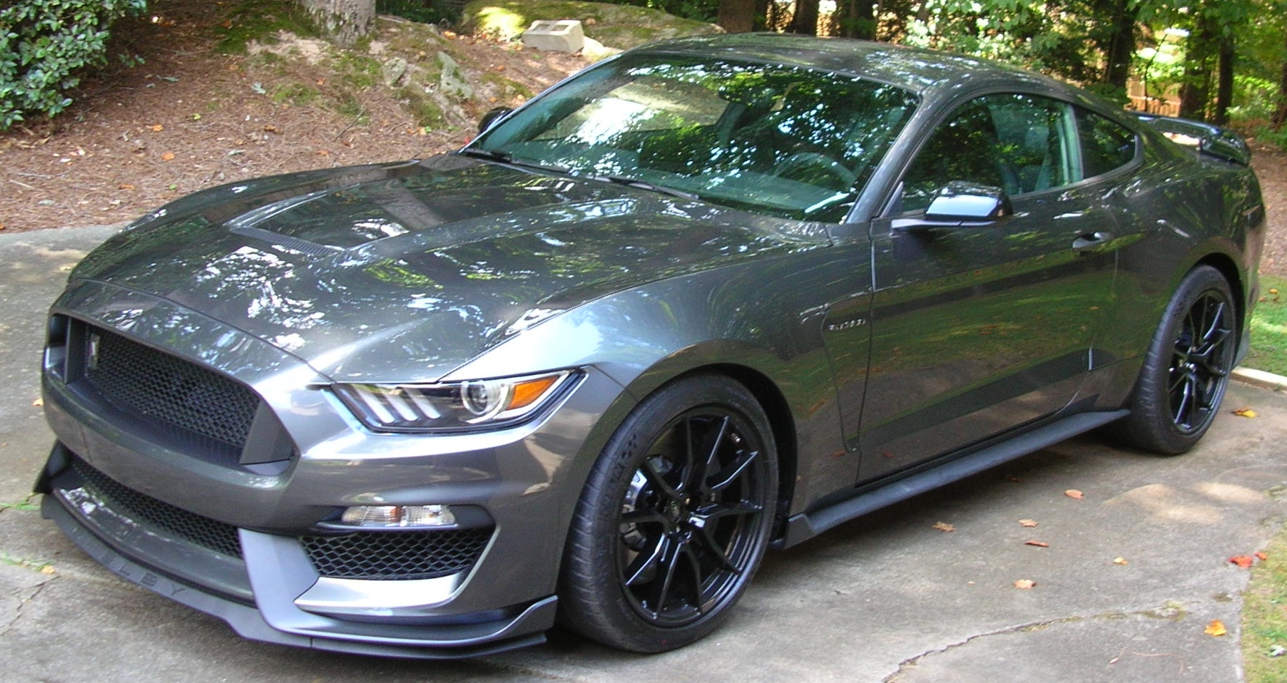 2019 Mustang
GT350 HPDE/Track -  (2019 Shelby GT350)