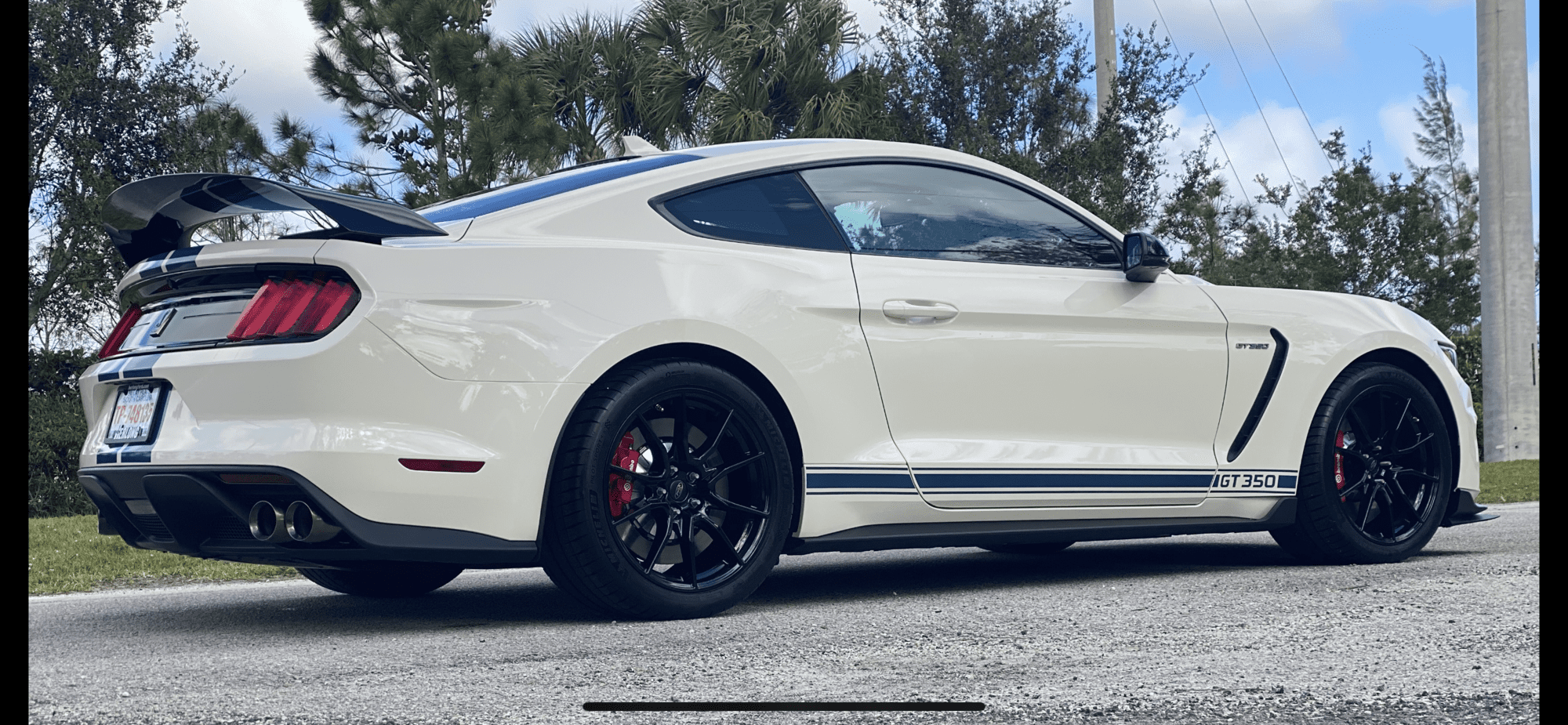 2020 Mustang
GT350 Road Race -  (2020 Heritage GT350R)