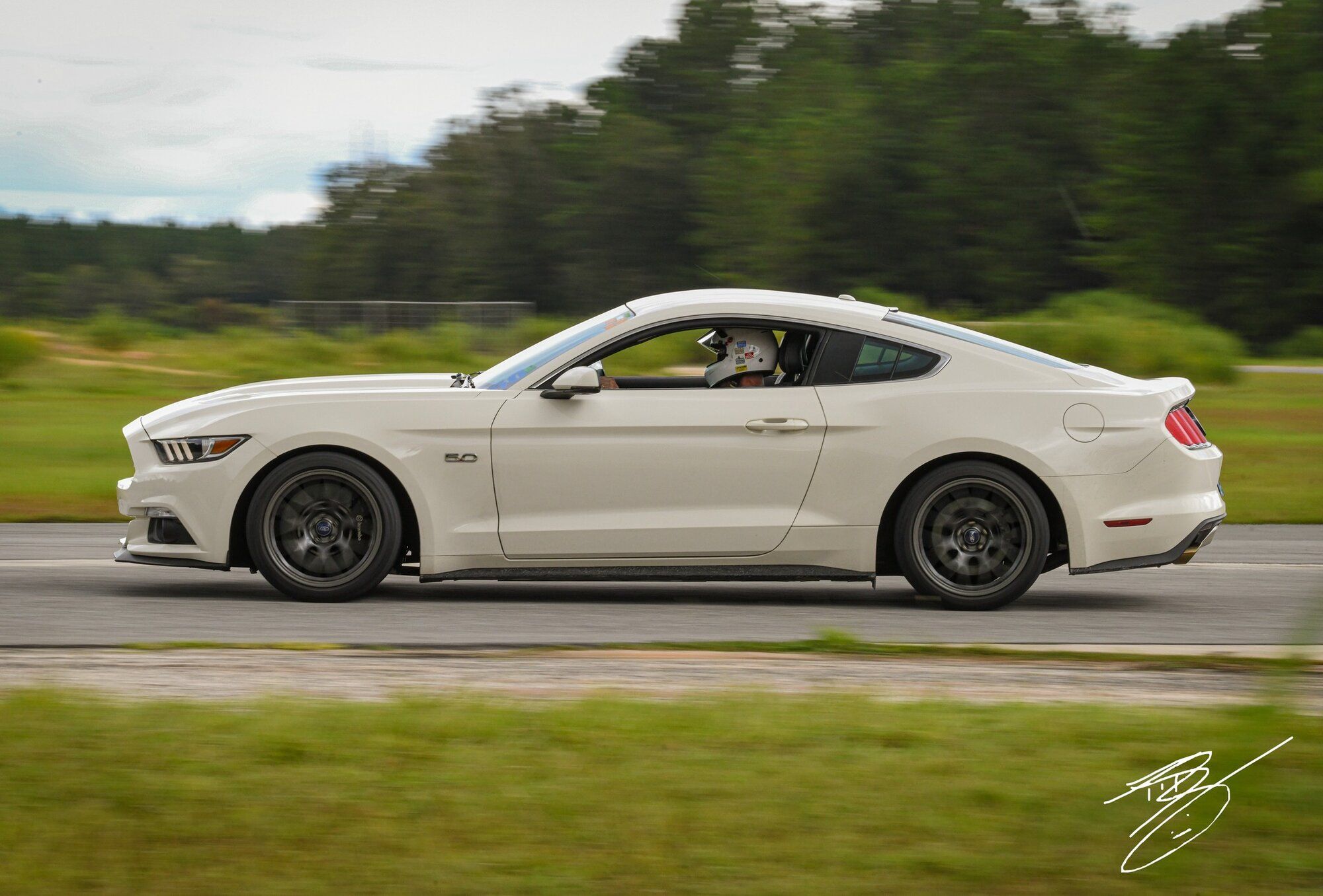 2015 Mustang
GT  (50th Anniversary #310)